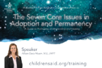 7 Core Issues in Adoption and Permanency: A Guide to Promoting Understanding and Healing