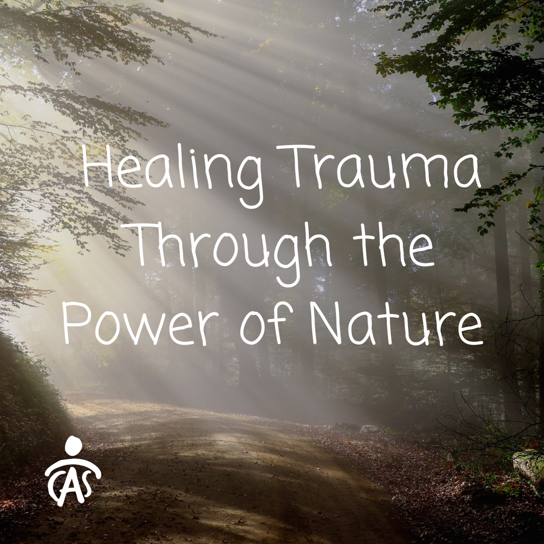 healing-trauma-through-the-power-of-nature