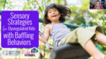 Sensory Strategies for Dysregulated Kids with Baffling Behaviors