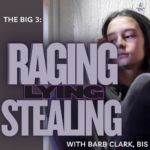 The Big 3: Raging, Lying & Stealing
